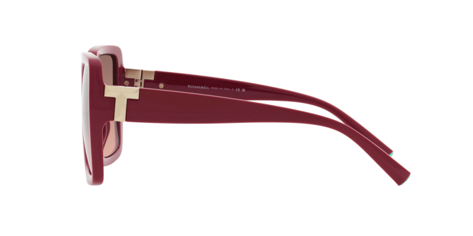 Tiffany Sunglasses TF4206U 836613