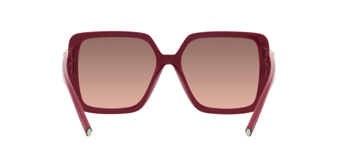 Tiffany Sunglasses TF4206U 836613