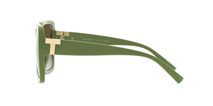 Tiffany Sunglasses TF4206U 83687Z