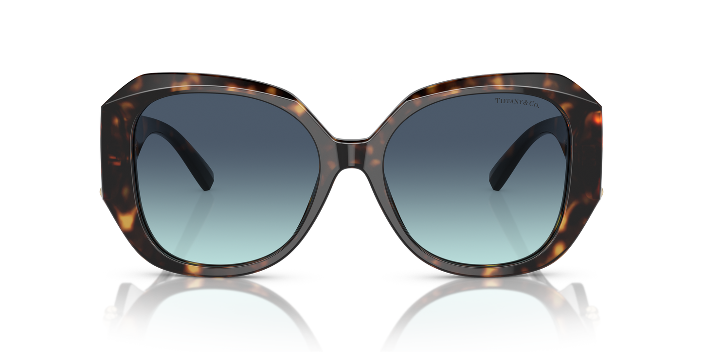 Tiffany Sunglasses TF4207B 80159S