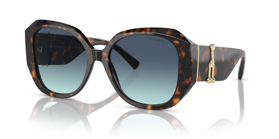 Tiffany Sunglasses TF4207B 80159S