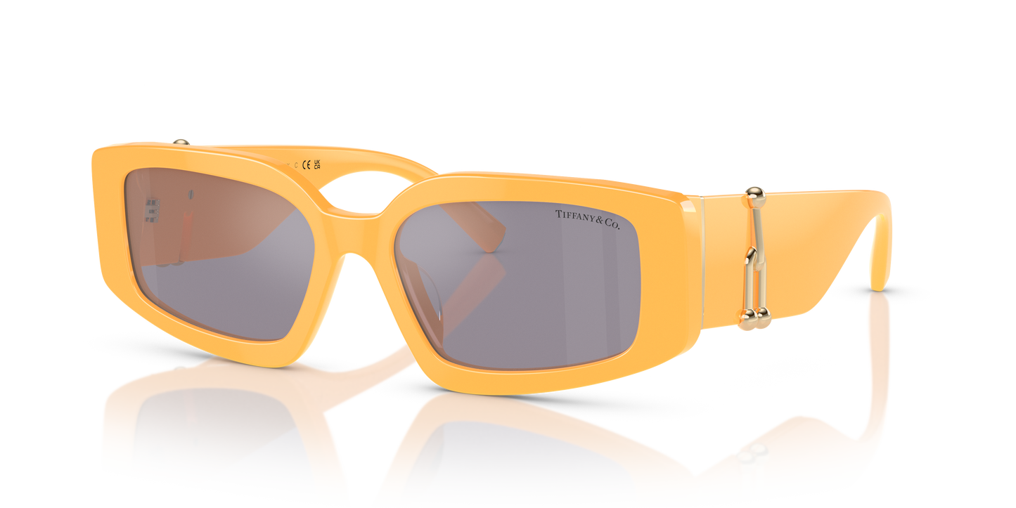 Tiffany Sunglasses TF4208U 83842S