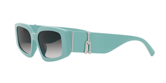 Tiffany Sunglasses TF4208U 83883C