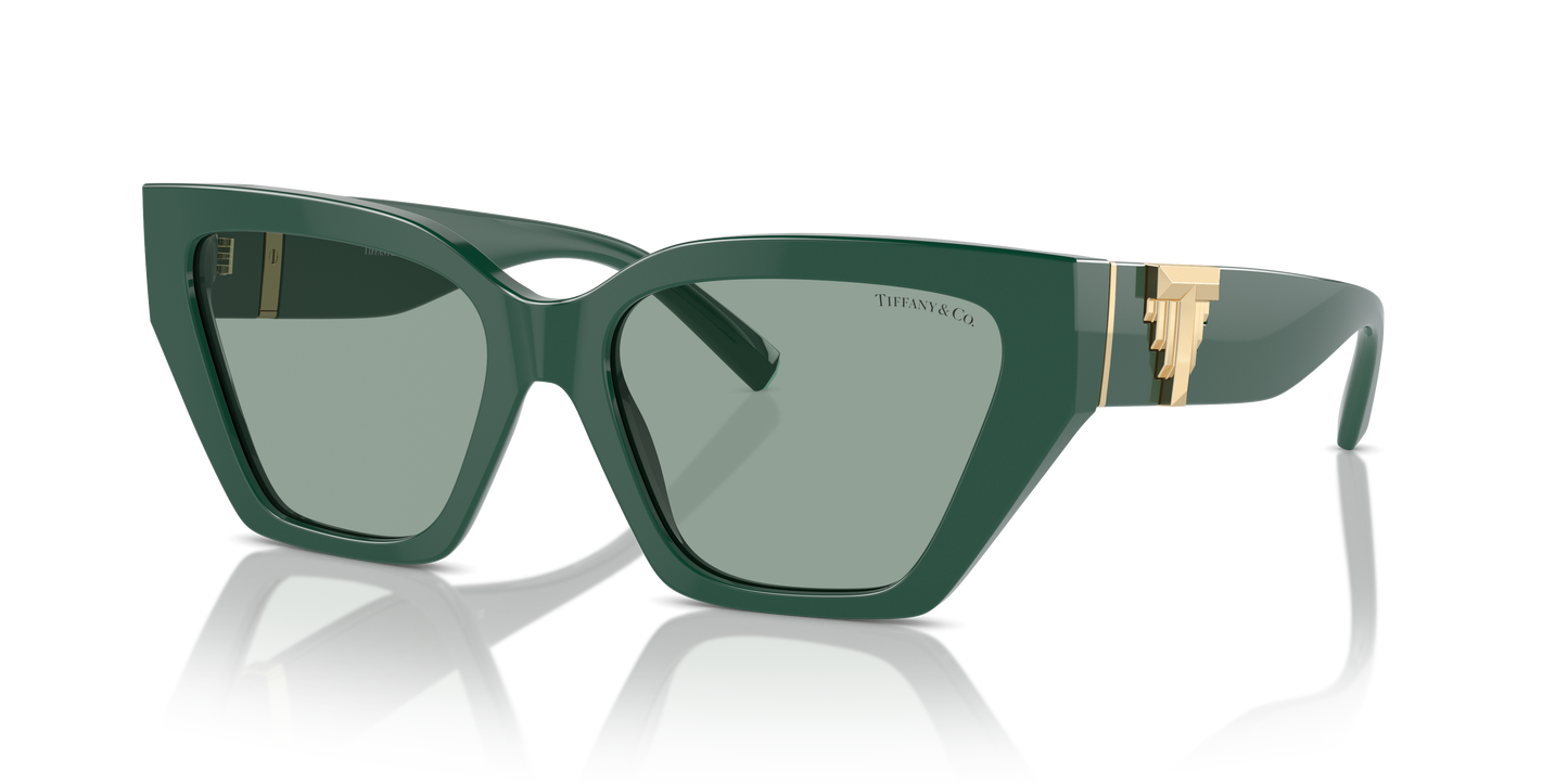 Tiffany Sunglasses TF4218 840882