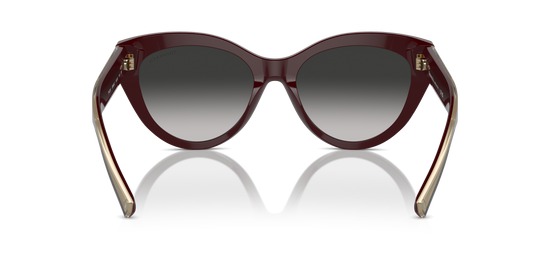 Tiffany Sunglasses TF4220 83893C