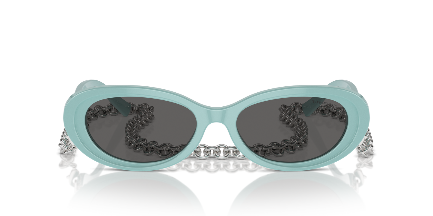 Tiffany Sunglasses TF4221 8388S4