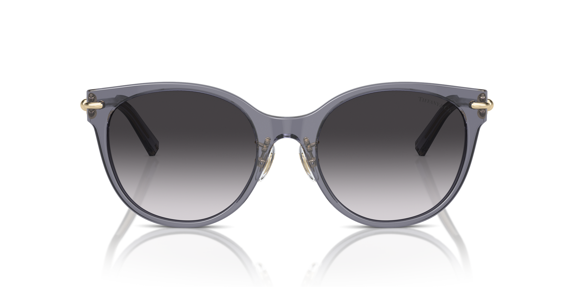 Tiffany Sunglasses TF4223D 84053C