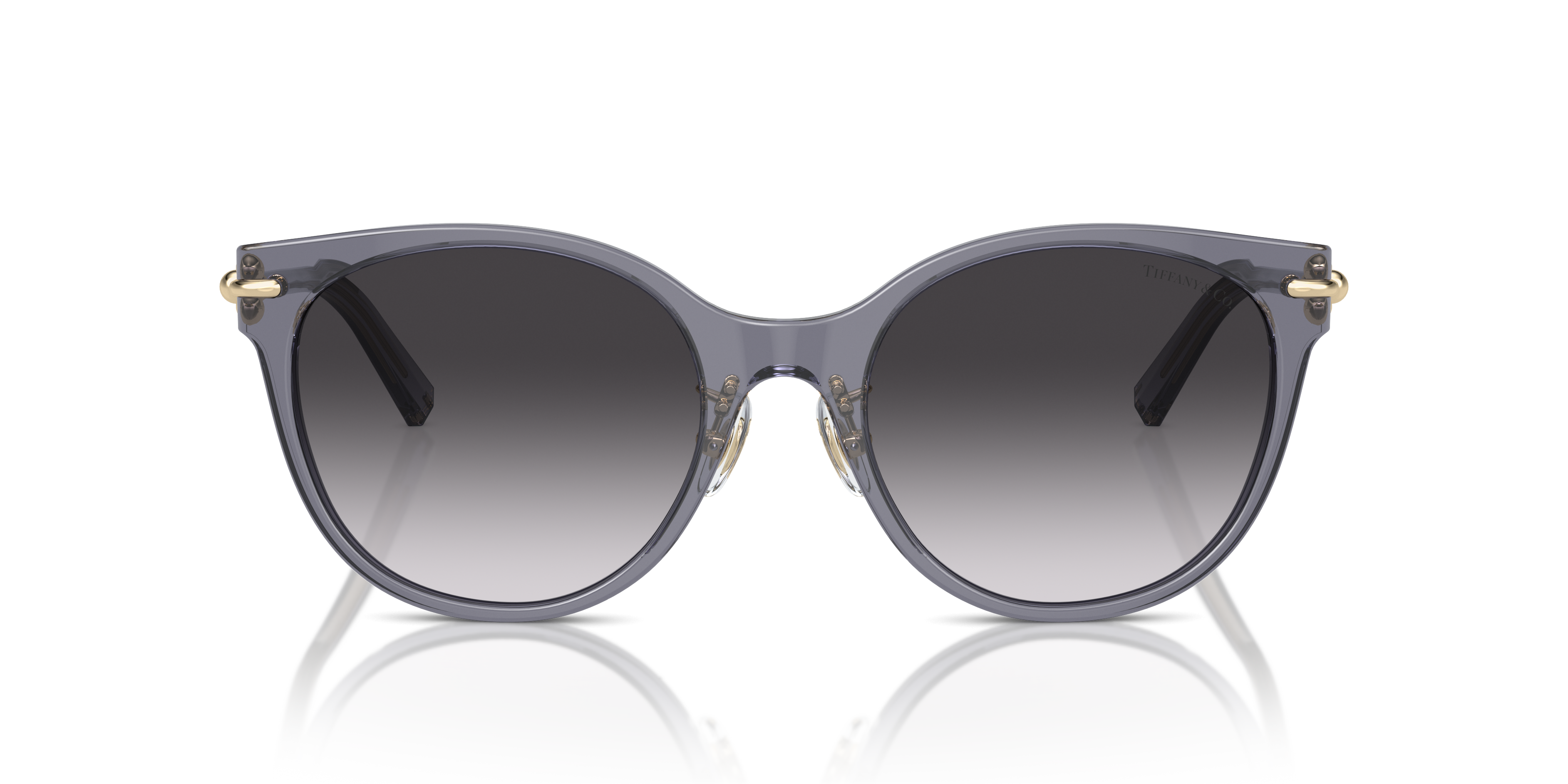 Tiffany Sunglasses TF4223D 84053C