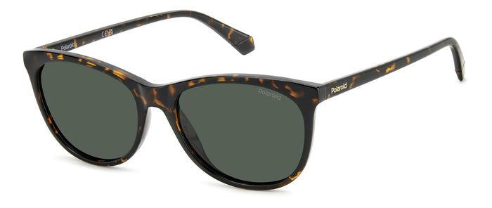 Polaroid {Product.Name} Sunglasses PLD4161/S 086/UC