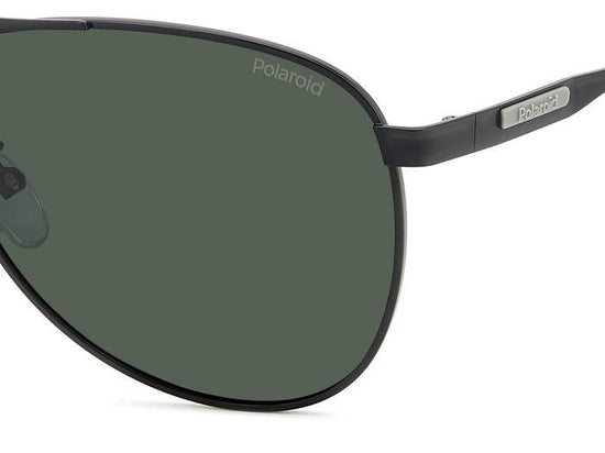 Polaroid {Product.Name} Sunglasses PLD2160/G/S/X 003/UC