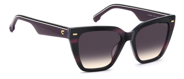 Carrera {Product.Name} Sunglasses 3108/G/S 7FF/UM