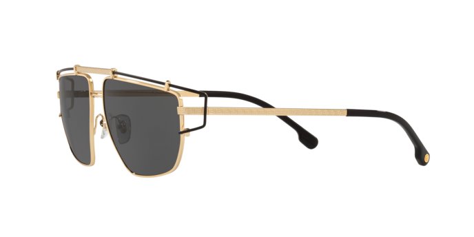 Versace Sunglasses VE2202 GOLD/MATTE BLACK