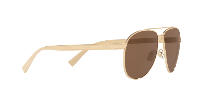 Versace Sunglasses VE2209 GOLD