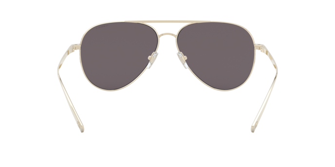 Versace Sunglasses VE2217 PALE GOLD