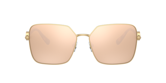 Versace Sunglasses VE2227 MATTE GOLD