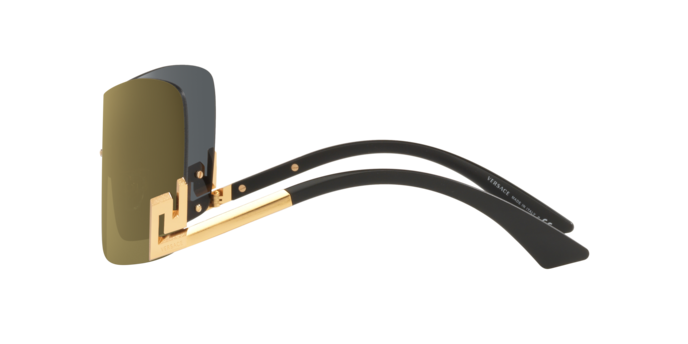 Versace Sunglasses VE2240 SHINY CREAM HORN