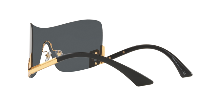 Versace Sunglasses VE2240 SHINY CREAM HORN