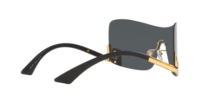 Versace Sunglasses VE2240 SHINY CREAM HORN