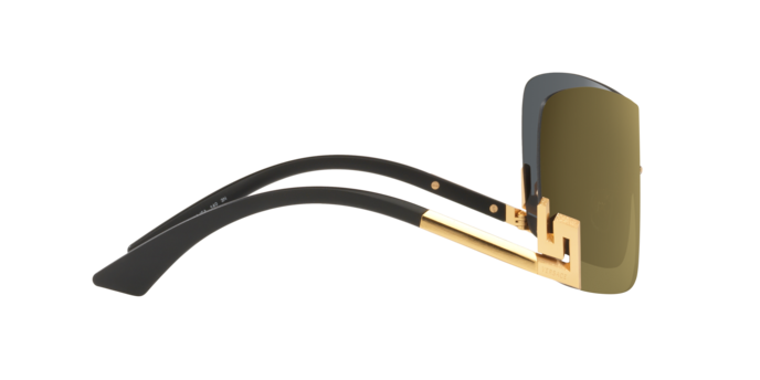 Versace Sunglasses VE2240 SHINY CREAM HORN