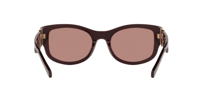 Versace Sunglasses VE4372 TRANSPARENT RED