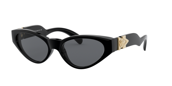 Versace Sunglasses VE4373 BLACK