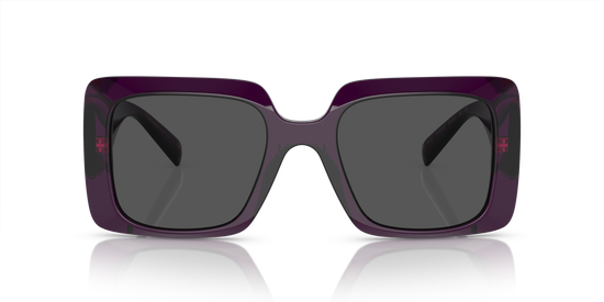 Versace Sunglasses VE4405 TRANSPARENT PURPLE