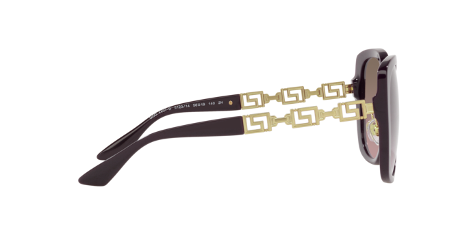 Versace Sunglasses VE4407D BORDEAUX