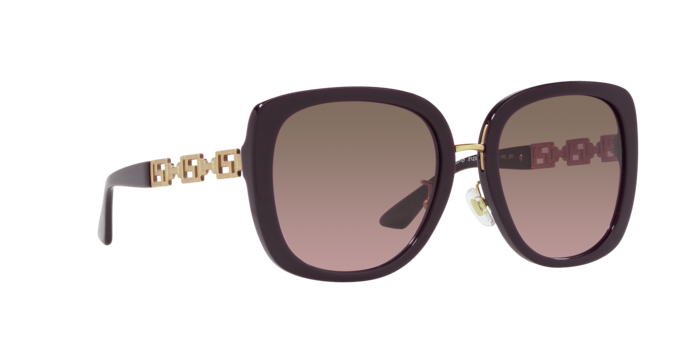 Versace Sunglasses VE4407D BORDEAUX