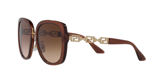 Versace Sunglasses VE4407D TRANSPARENT BROWN