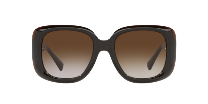 Versace Sunglasses VE4411 TRANSPARENT BROWN
