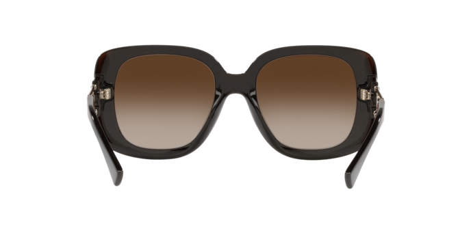 Versace Sunglasses VE4411 TRANSPARENT BROWN