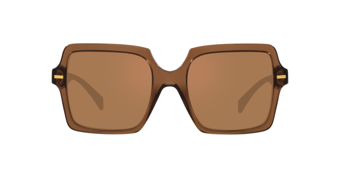 Versace Sunglasses VE4441 TRANSPARENT BROWN