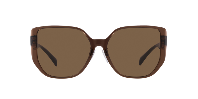 Versace Sunglasses VE4449D TRANSPARENT BROWN