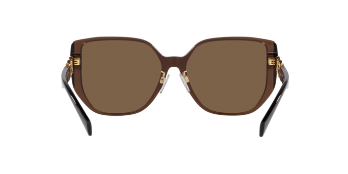 Versace Sunglasses VE4449D TRANSPARENT BROWN
