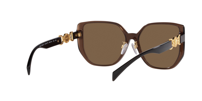 Versace Sunglasses VE4449D TRANSPARENT BROWN
