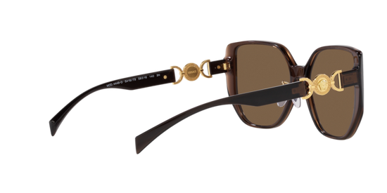 Versace Sunglasses VE4449D TRANSPARENT BROWN