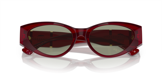 Versace Sunglasses VE4454 BORDEAUX