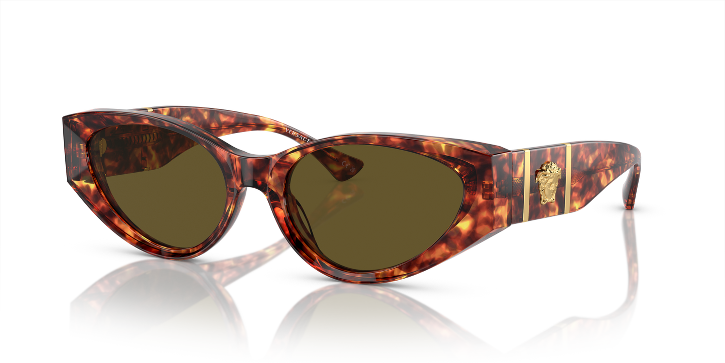 Versace Sunglasses VE4454 HAVANA