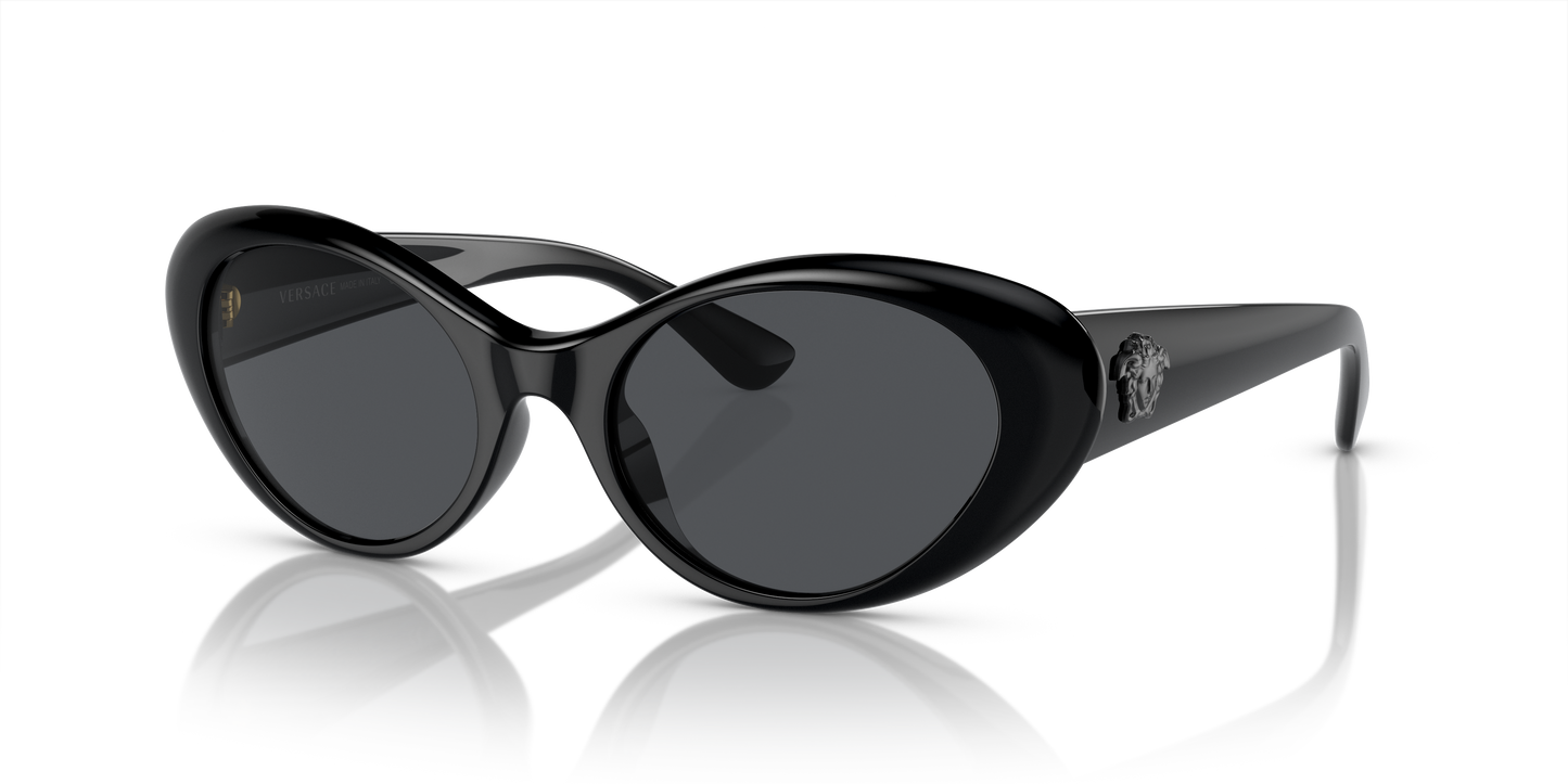 Versace Sunglasses VE4455U BLACK