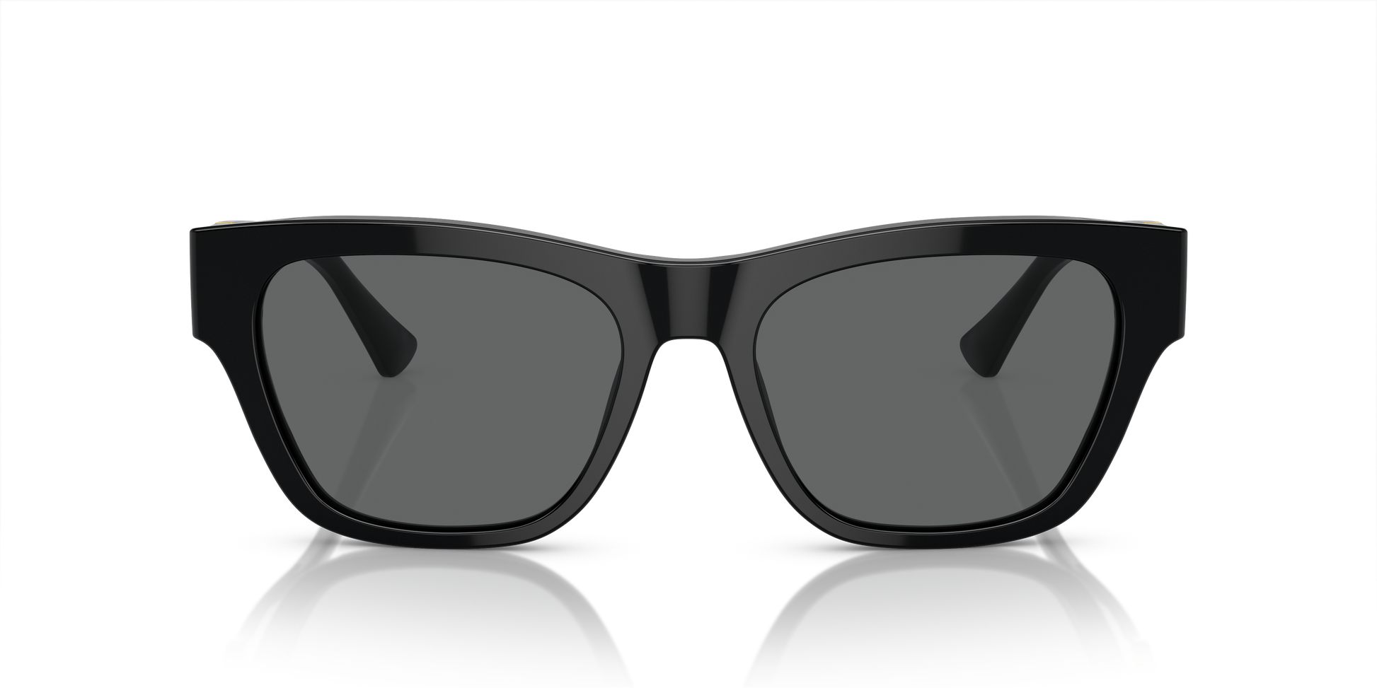 Versace Sunglasses VE4457 BLACK