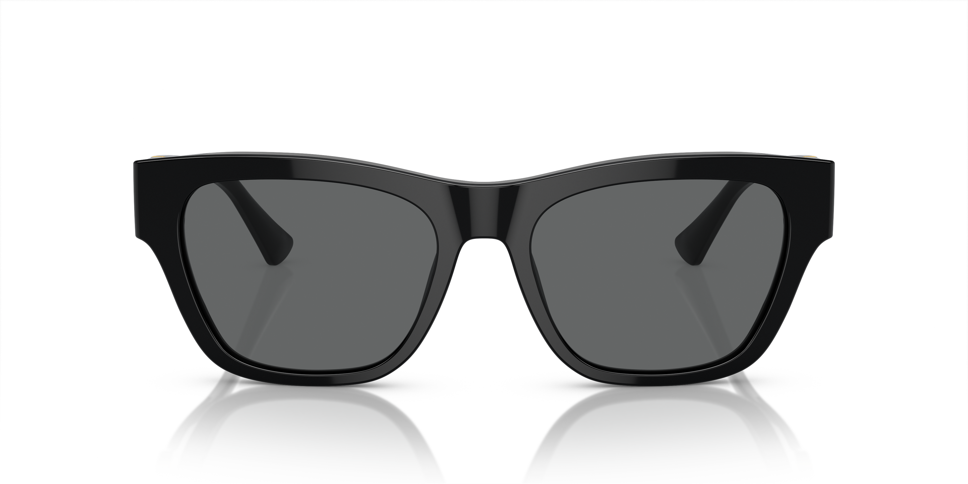 Versace Sunglasses VE4457 BLACK