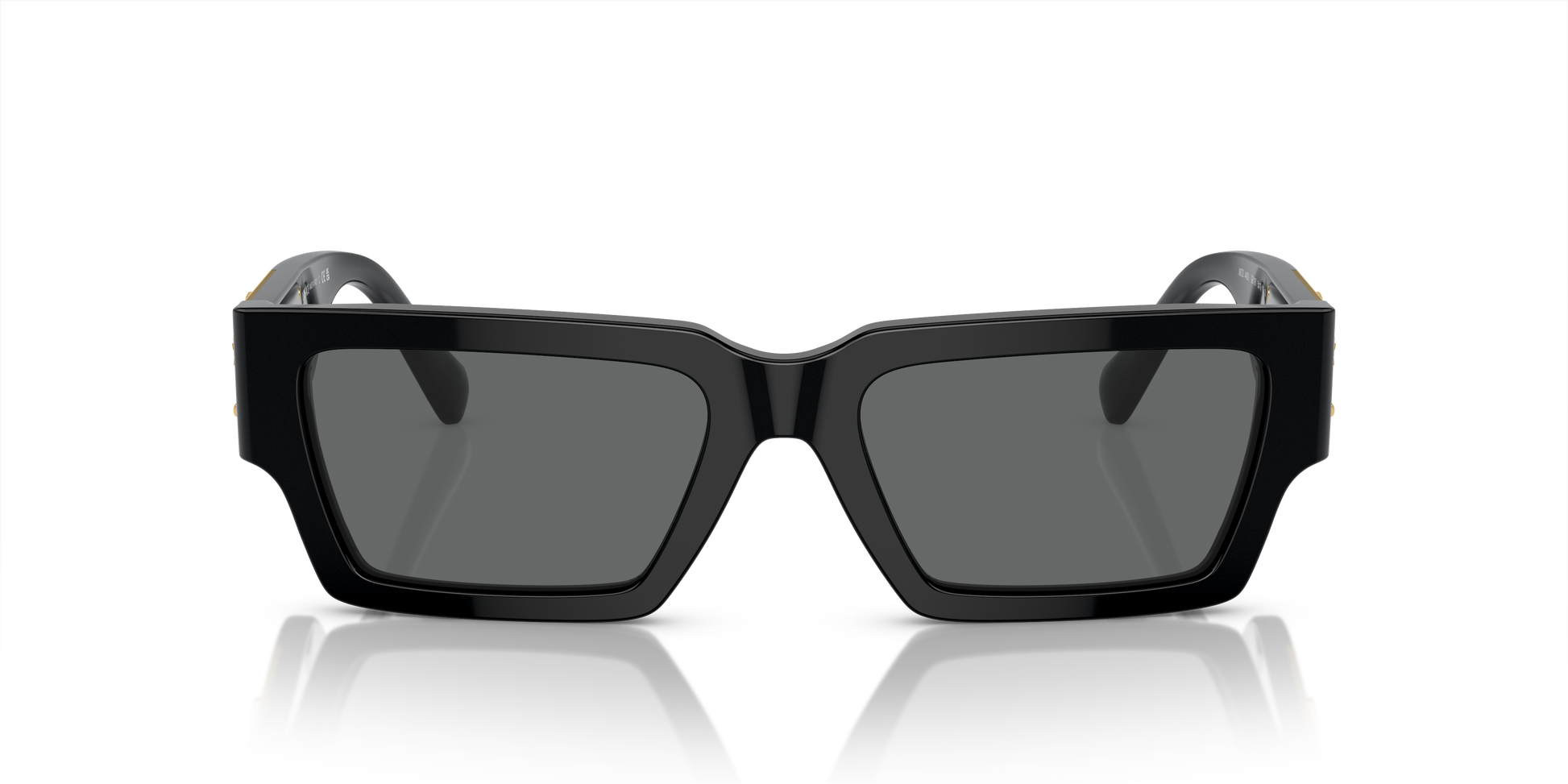 Versace Sunglasses VE4459 BLACK