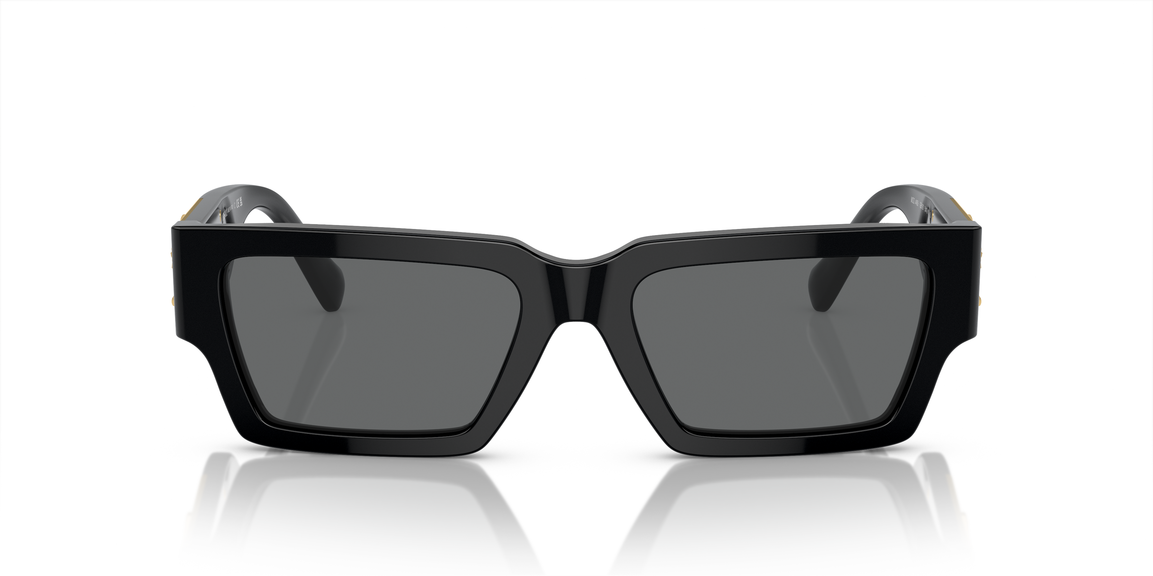 Versace Sunglasses VE4459 BLACK