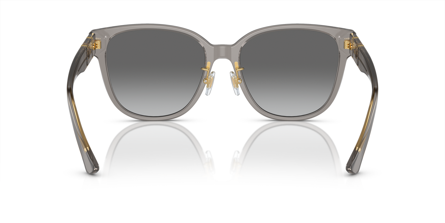 Versace Sunglasses VE4460D OPAL GREY