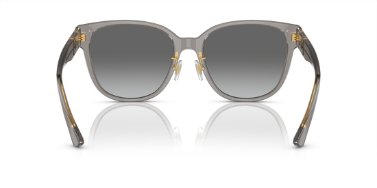 Versace Sunglasses VE4460D OPAL GREY