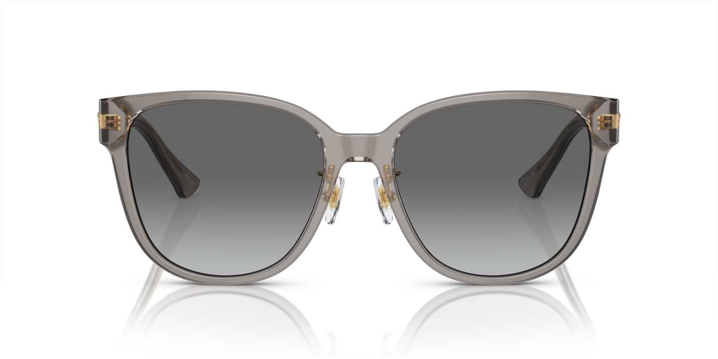 Versace Sunglasses VE4460D OPAL GREY