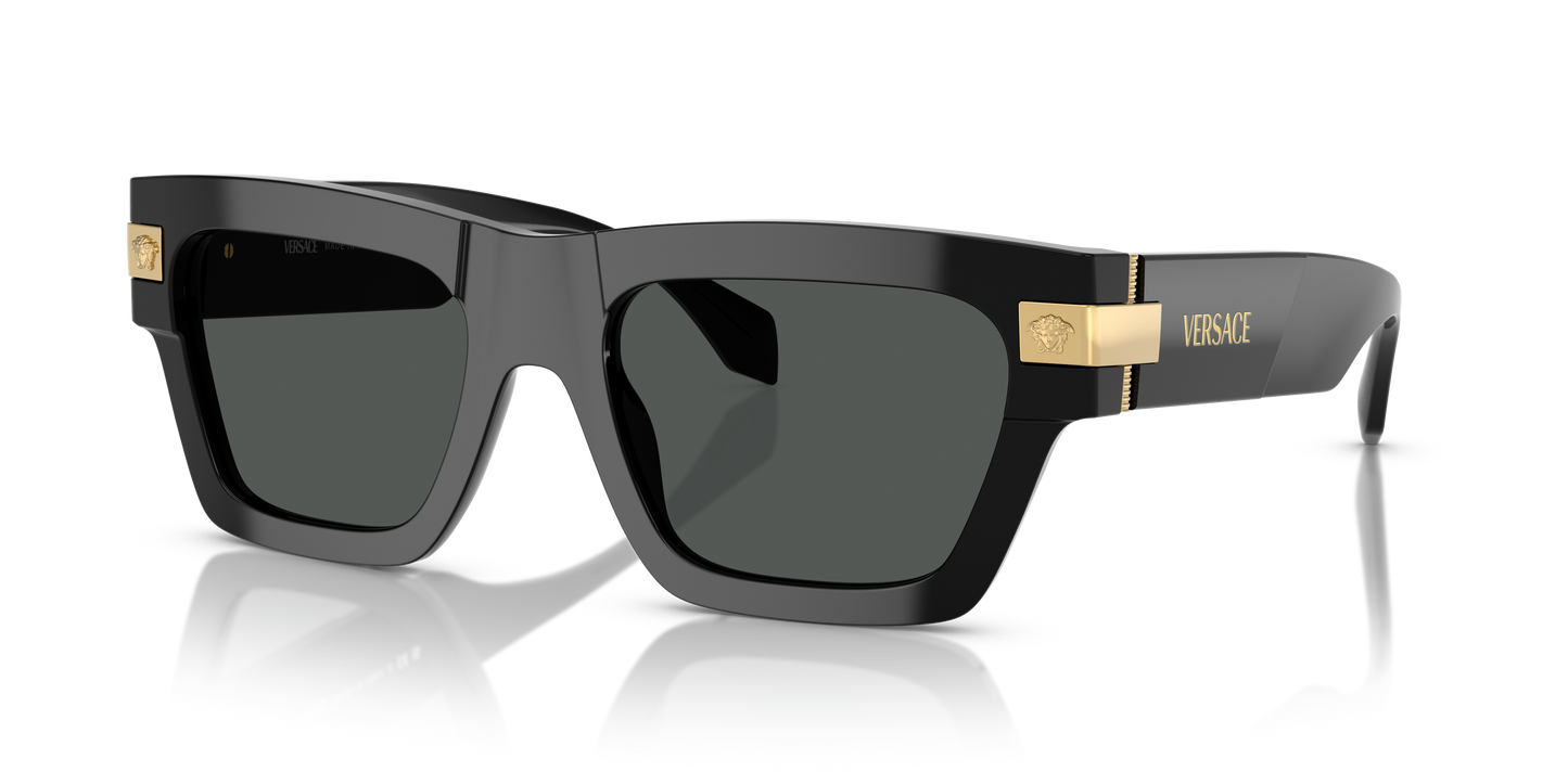 Versace Sunglasses VE4464 BLACK