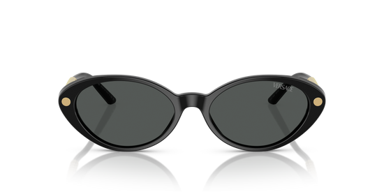 Versace Sunglasses VE4469 BLACK