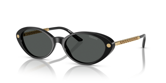 Versace Sunglasses VE4469 BLACK