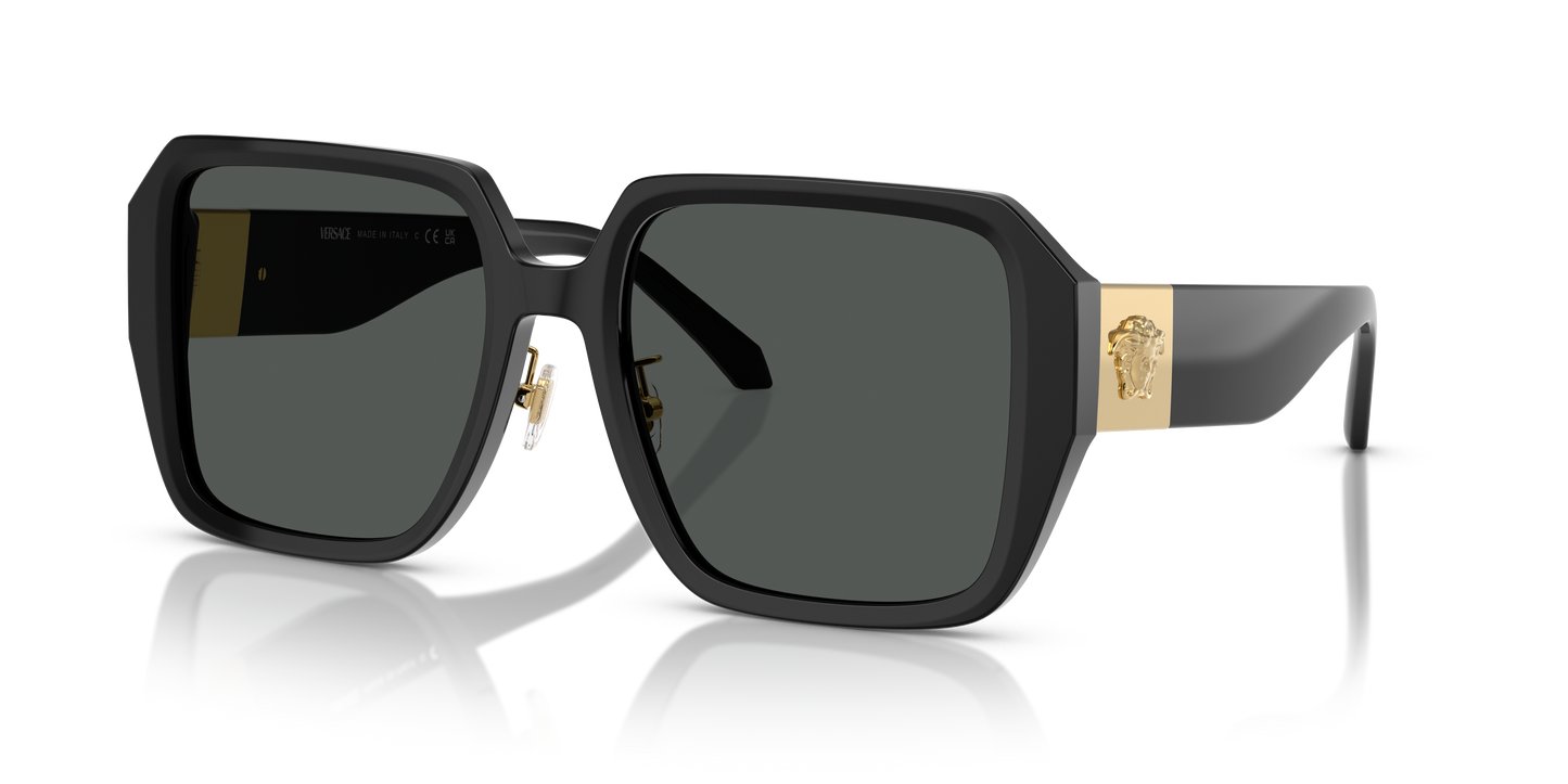 Versace Sunglasses VE4472D BLACK